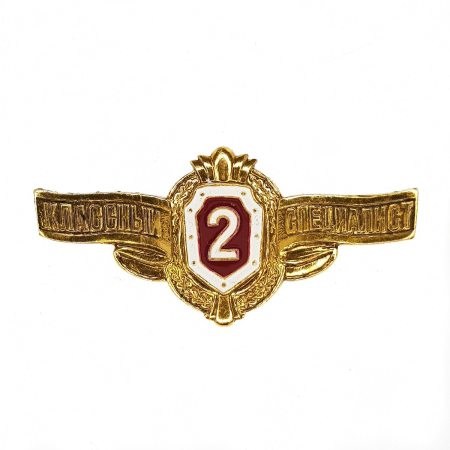 Значок классности рядового состава ВВ МВД, 2 класс - интернет магазин Полигон